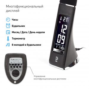 ЭРА наст.светильник NLED-461-7W-BK черный (12/180)