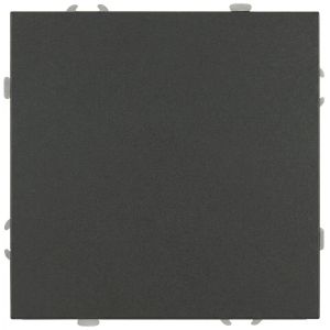 Кнопка ЭРА Galaxy 15-1109-06 10АХ-250В IP20 графит