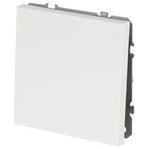 Кнопка ЭРА Galaxy 15-1109-08 10АХ-250В IP20 белый матовый