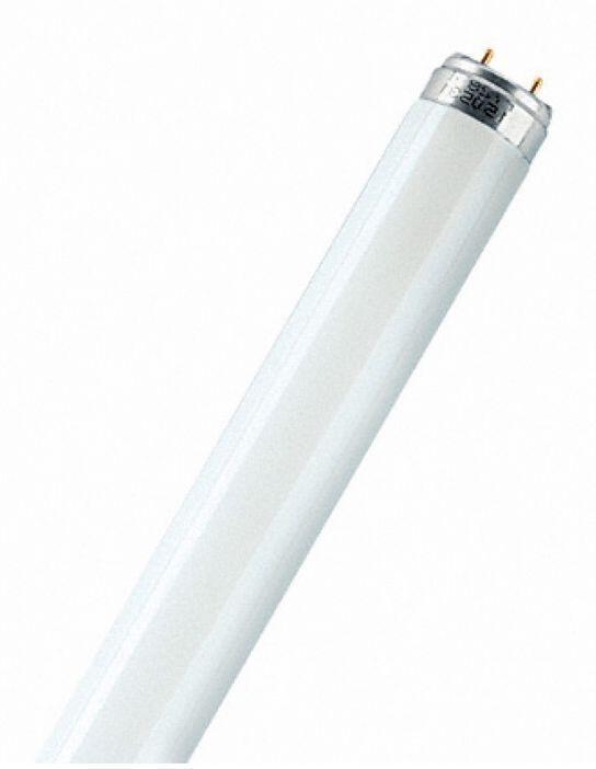 Лампа люминесцентная L58W/640  Смоленск-Osram