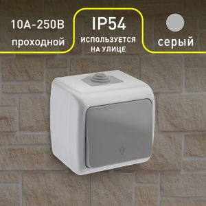 Переключатель Intro Atlantic 5-103-03 10А-250В, IP54, открытой установки, серый Переключатель Intro Atlantic 5-103-03 10А-250В, IP54, открытой установки, серый