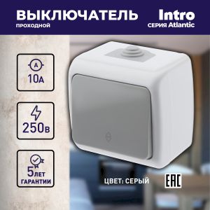 Переключатель Intro Atlantic 5-103-03 10А-250В, IP54, открытой установки, серый Переключатель Intro Atlantic 5-103-03 10А-250В, IP54, открытой установки, серый