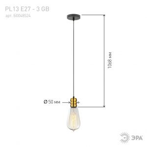 PL13 E27 - 3 GB Подсветка ЭРА Накладной, цоколь Е27, провод 1 м, цвет медь (60/360)