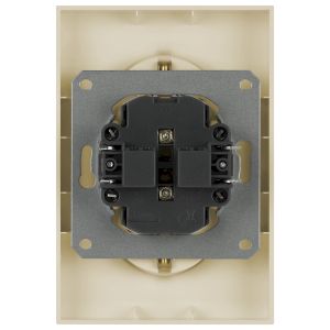 Розетка ЭРА Galaxy 15-2104-04 с заземлением двойная 2X2P+E Schuko 16А-250В IP20 шампань