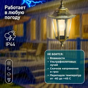 Садово-парковый светильник ЭРА НСУ 06-60-001 бронза 6 гранный подвесной IP44 Е27 max60Вт