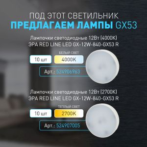 Светильник настенно-потолочный спот ЭРА OL38 BK под GX53 IP20 черный