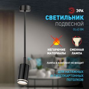 Светильник настенно-потолочный спот ЭРА OL43 BK MR16 GU10 IP20 черный Светильник настенно-потолочный спот ЭРА OL43 BK MR16 GU10 IP20 черный