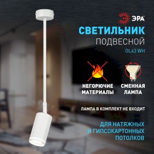 Светильник настенно-потолочный спот ЭРА OL43 WH MR16 GU10 IP20 белый Светильник настенно-потолочный спот ЭРА OL43 WH MR16 GU10 IP20 белый