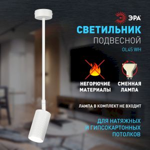 Светильник настенно-потолочный спот ЭРА OL45 WH MR16 GU10 IP20 белый Светильник настенно-потолочный спот ЭРА OL45 WH MR16 GU10 IP20 белый
