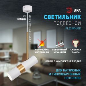 Светильник подвесной (подвес) ЭРА PL33 WH/GD MR16 GU10 потолочный цилиндр белый, золото
