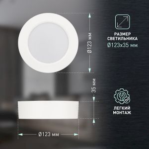 Светильник светодиодный ЭРА LED 19-12-4K накладной круглый 12Вт 4000К
