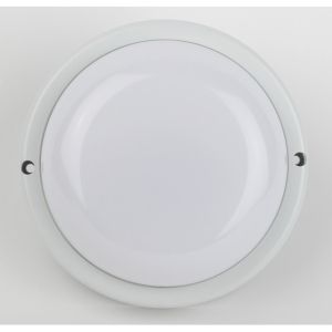 Светильник ЖКХ светодиодный ЭРА SPB-201-0-40K-024 IP65 24Вт 4000K D185 круглый