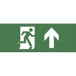 INFO-DBA-004 ЭРА Самоклеящаяся этикетка 200х60мм 