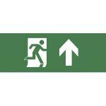 INFO-SSA-104 ЭРА Самоклеящаяся этикетка 350х130мм 