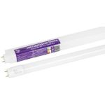 Лампа светодиодная ЭРА RED LINE LED T8-30W-865-G13-1200mm NTB 30Вт трубка стекло холодный дневной свет G13 неповоротный