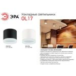 OL17 GX53 WH Подсветка ЭРА Накладные, под GX53 (40/960)