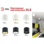 OL8 GX53 BK/GD Подсветка ЭРА Накладной под лампу Gx53, алюминий, цвет черный+золото (40/800)