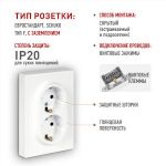 Розетка ЭРА Galaxy 15-2105-01 с заземлением двойная 2X2P+E Schuko со шторками IP20 16А-250В белый