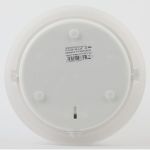 Светильник ЭРА НБП 06-60-012 Сириус антивандальный IP54 E27 max 60Вт D220 круг матовый