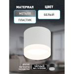 Светильник настенно-потолочный спот ЭРА OL38 WH под GX53 IP20 белый