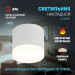 Светильник настенно-потолочный спот ЭРА OL38 WH под GX53 IP20 белый