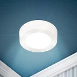 Светильник светодиодный ЭРА LED 19-12-6K накладной круглый 12Вт 6500К