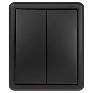 Выключатель ЭРА Эксперт 11-1204-05 двойной IP20 10АХ-250В ОУ антрацит Выключатель ЭРА Эксперт 11-1204-05 двойной IP20 10АХ-250В ОУ антрацит