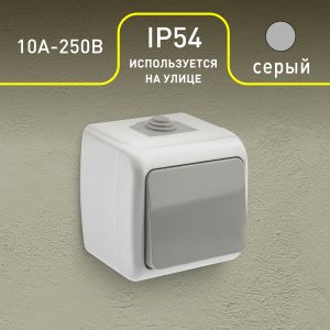 Выключатель Intro Atlantic 5-101-03 10А-250В, IP54, открытой установки, серый Выключатель Intro Atlantic 5-101-03 10А-250В, IP54, открытой установки, серый