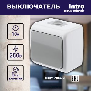 Выключатель Intro Atlantic 5-101-03 10А-250В, IP54, открытой установки, серый Выключатель Intro Atlantic 5-101-03 10А-250В, IP54, открытой установки, серый