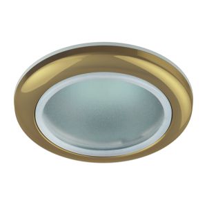 WR1 GD Светильник ЭРА влагозащищенный MR16,12V220V, 50W золото (100/2000)